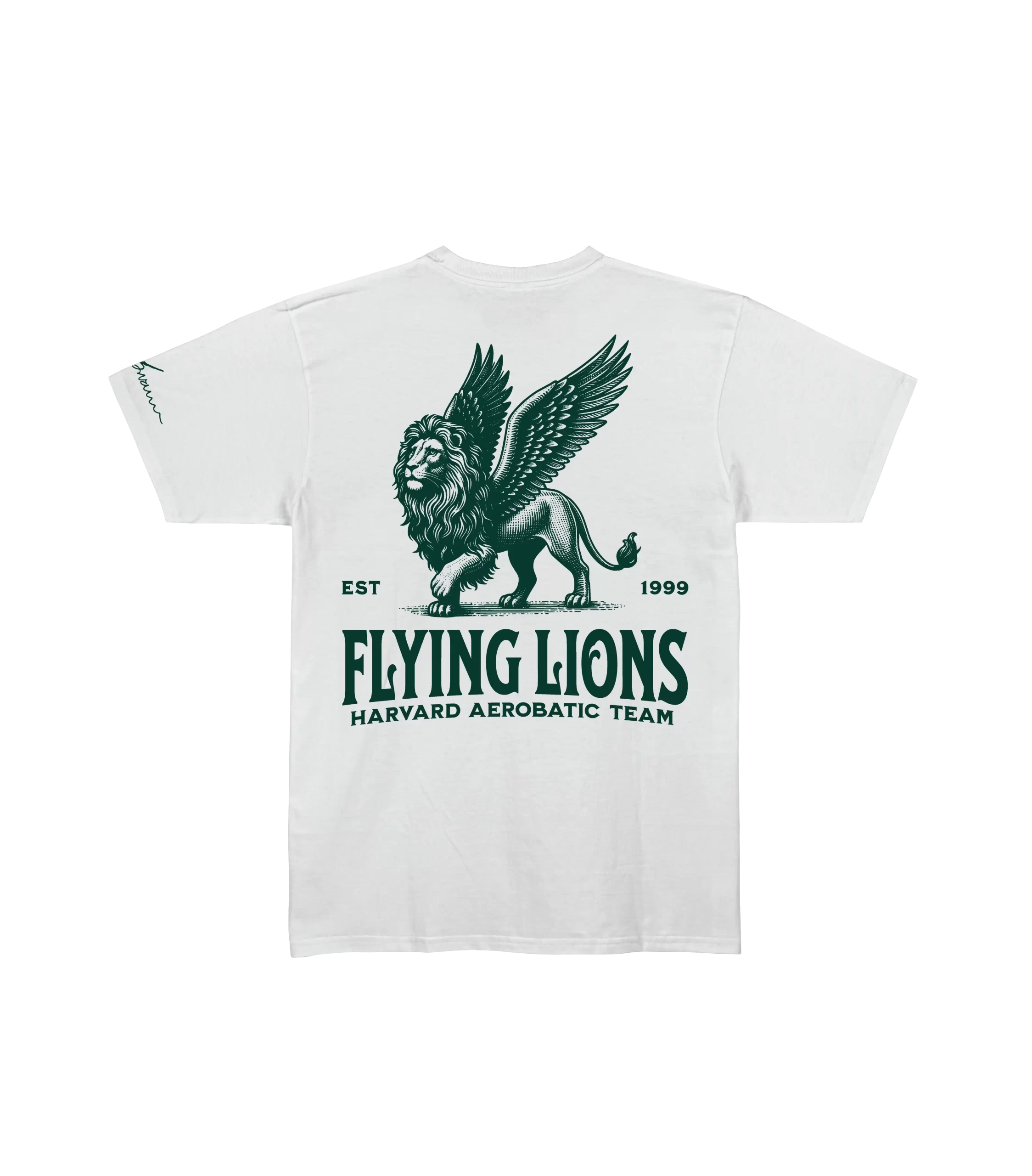 Flying Lions-138