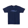 T-shirt with the word Aviation on it and the outline of a plane flying through it.